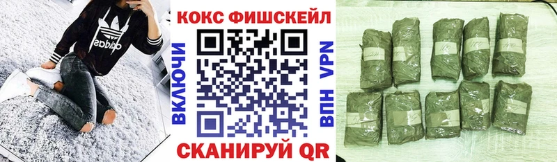Кокаин Fish Scale  Купить  Краснокамск 