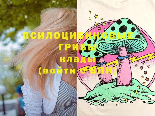 а пвп мука Козельск