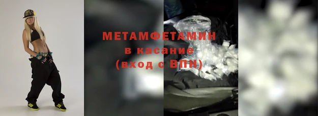 прущие грибы Усмань