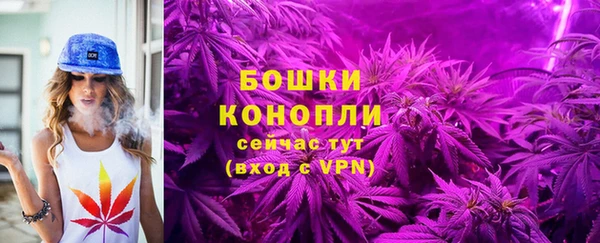 прущие крисы Кодинск