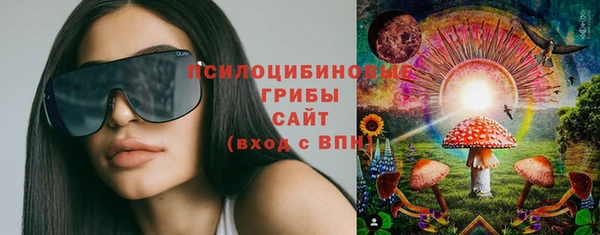 прущие крисы Кодинск
