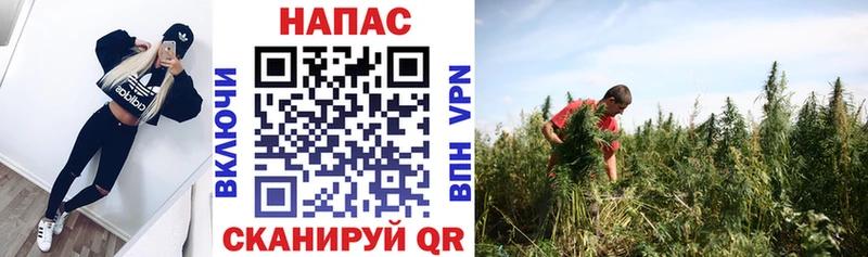 Купить закладки  Краснокамск  Канабис White Widow 